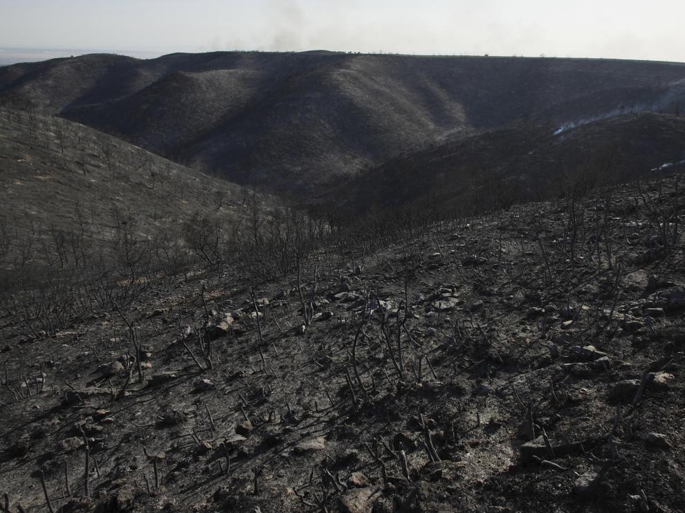 El incendio fue uno de los peores en Aragón.