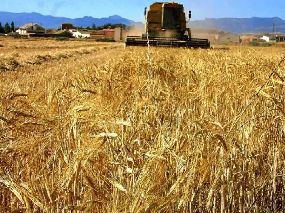 El Gobierno aragonés convoca 150.000 euros en subvenciones para el sector agroalimentario