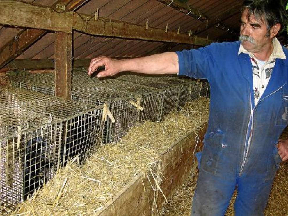 Juan Benito Tomás en su granja