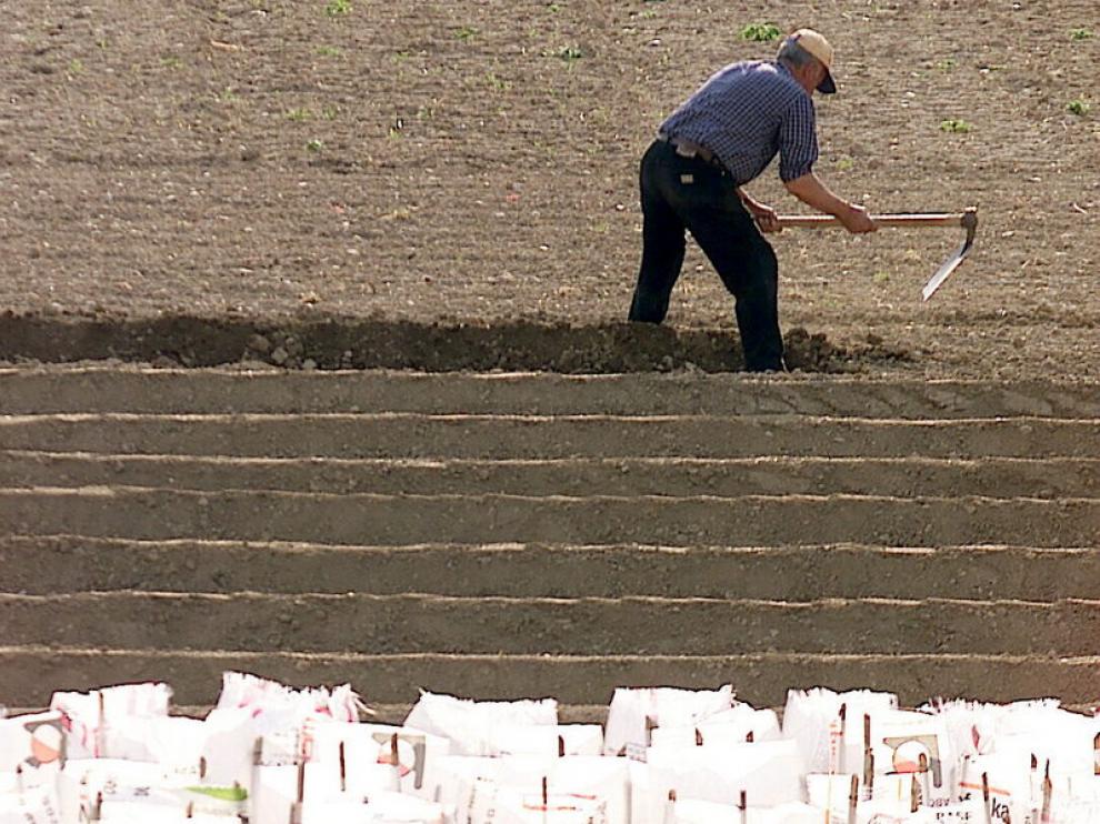 La mayoría de los fertilizantes contienen nitrógeno, fósforo y potasio