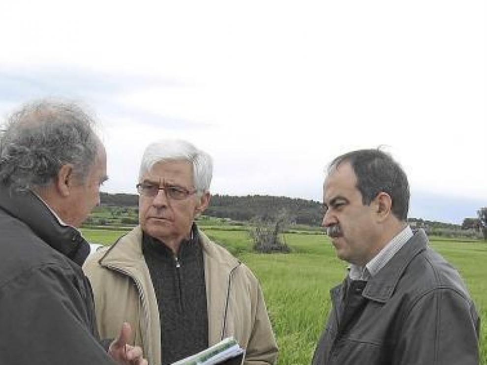 Arguilé, en uno de los futuros campos de regadío en Alcampell.