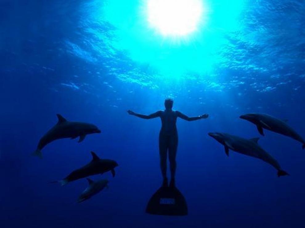Fotograma del documental 'The cove' que se proyectará en la clausura de Ecozine.