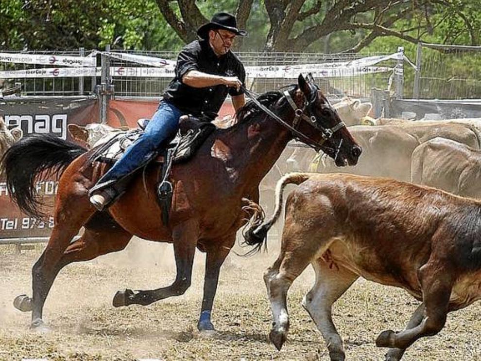 Imagen de un jinete tratando de dominar a una res en el Campeonato de España celebrado en Biescas el año pasado.