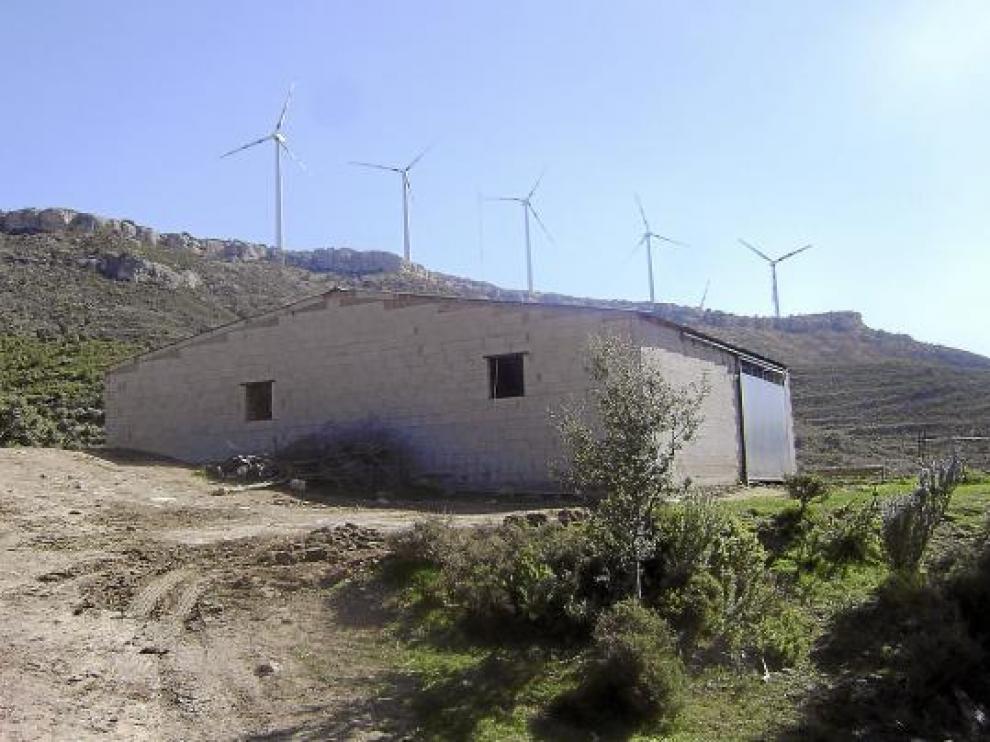 La foto muestra la proximidad de los aerogeneradores a una granja de ovino.