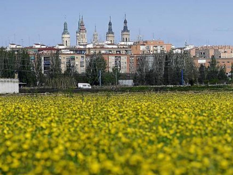 Proyectos como Expo Paisajes en Zaragoza (en la foto, los terrenos de la muestra) o los Juegos Olímpicos de los Pirineos pueden verse afectados por el recorte inversor.