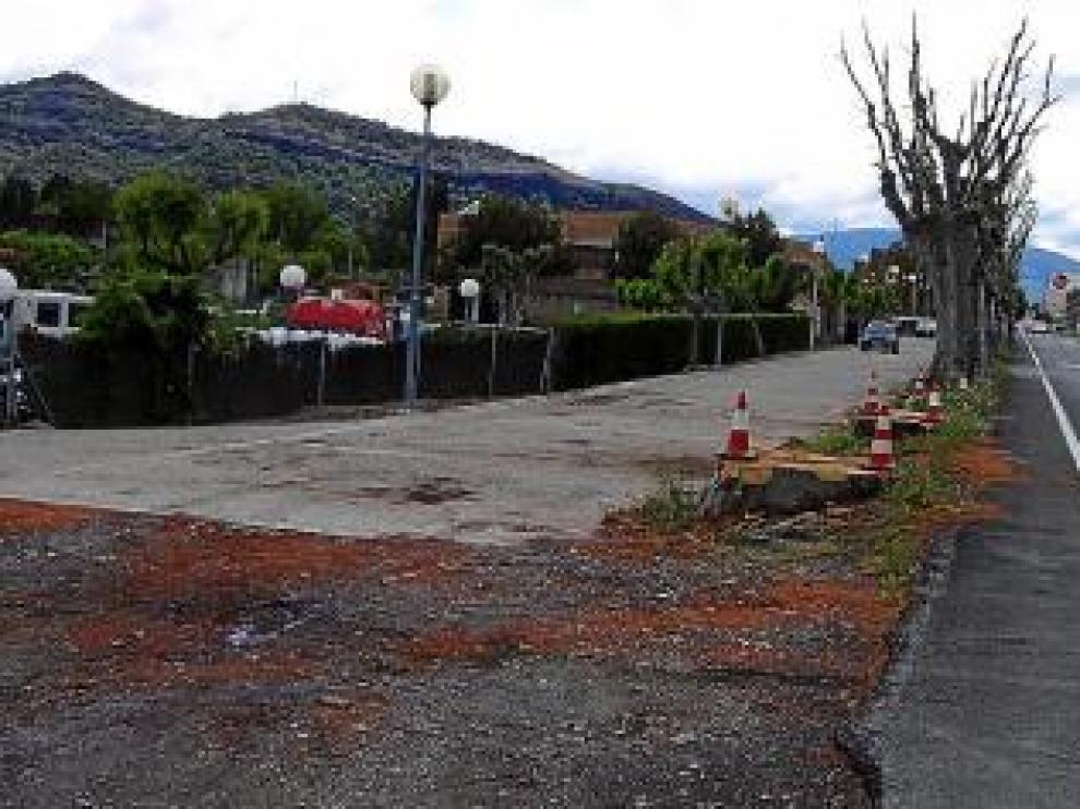 Los tres ejemplares se talaron el pasado viernes.