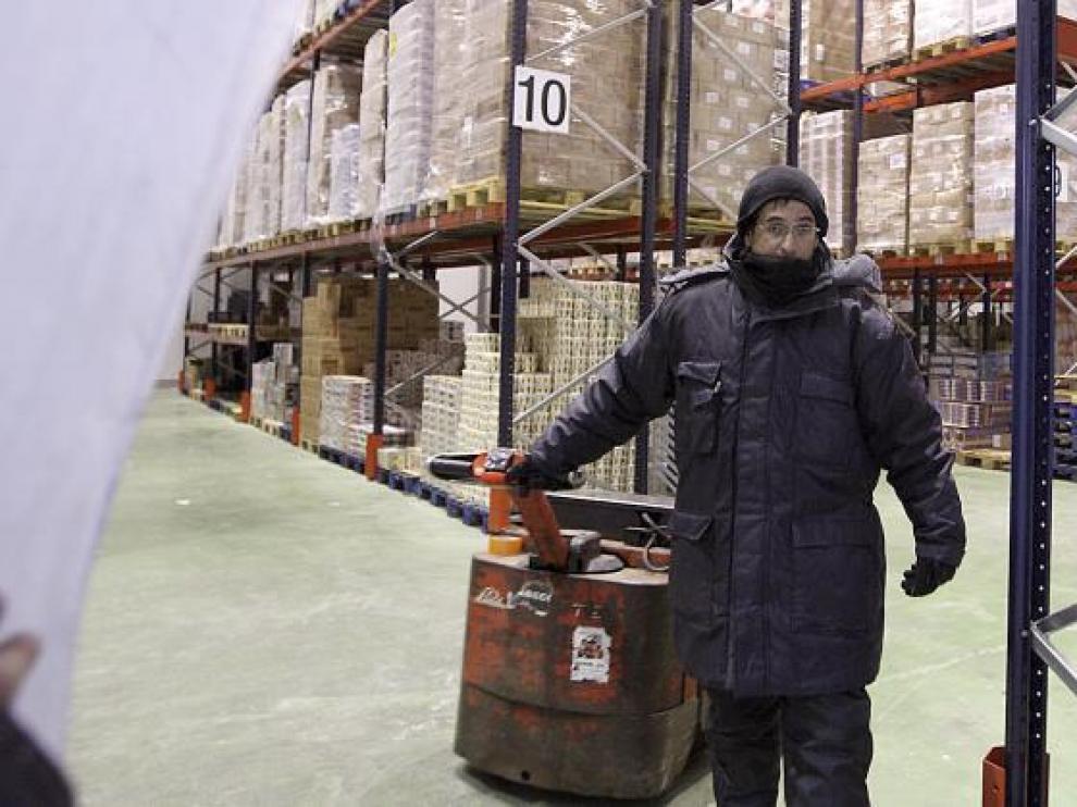 Un trabajador prepara un palé en las cámaras del centro logístico que Sabeco tiene en la Plataforma Logística de Zaragoza (Plaza).