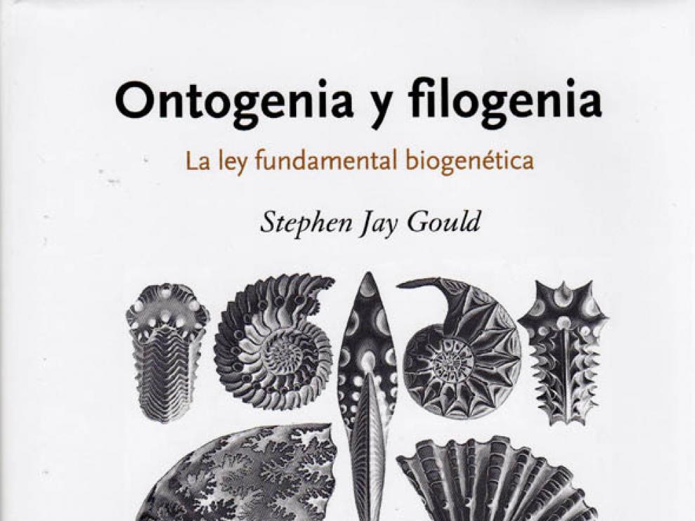 'Ontogenia y filogenia'