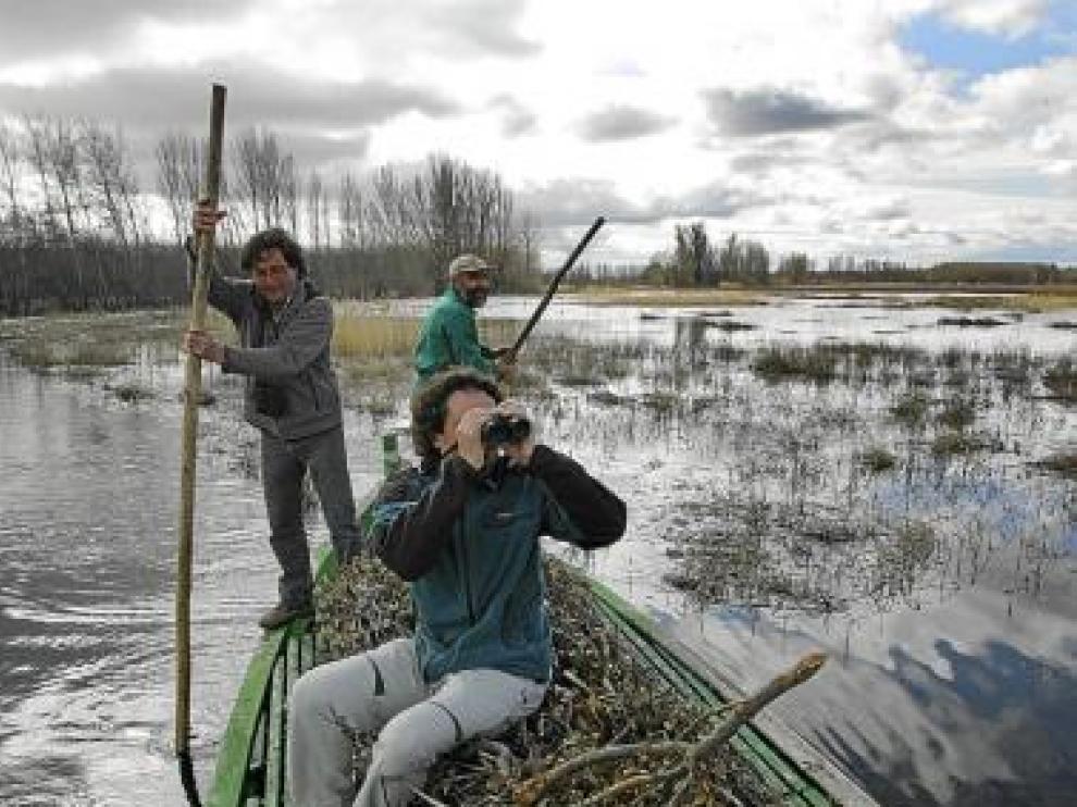 Ornitólogos de la laguna hacen un recorrido en barca.
