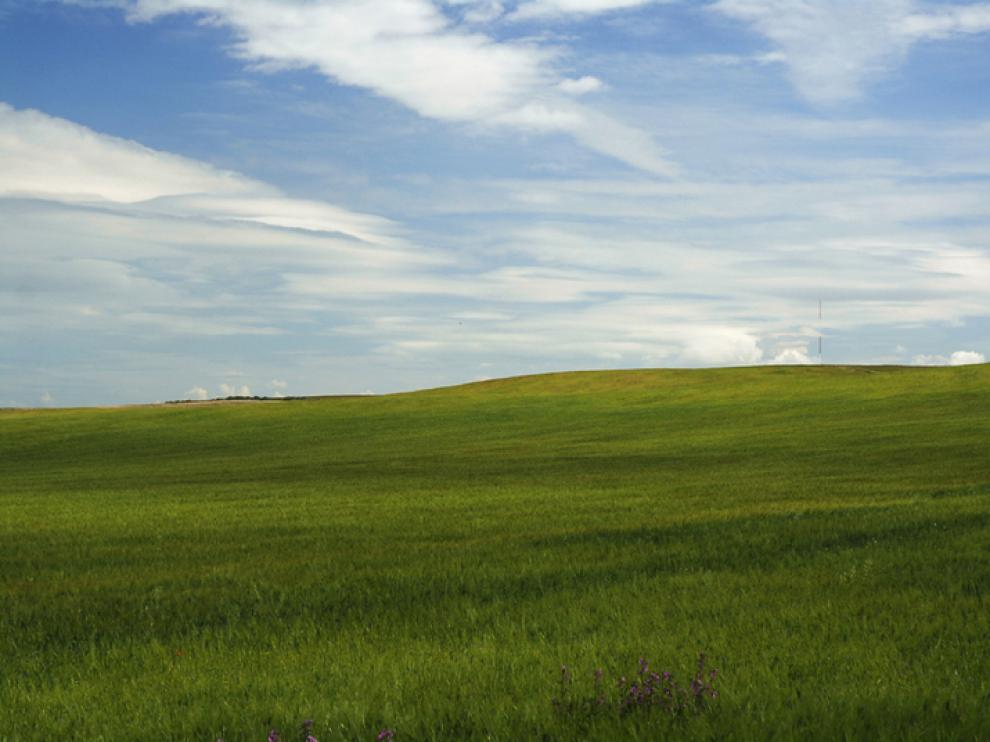 Llanos de Plasencia de Jalón (Zaragoza)
