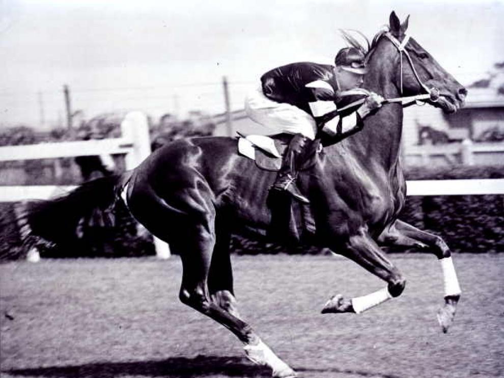 El purasangre Phar Lap, todo un campeón en los años veinte y treinta.