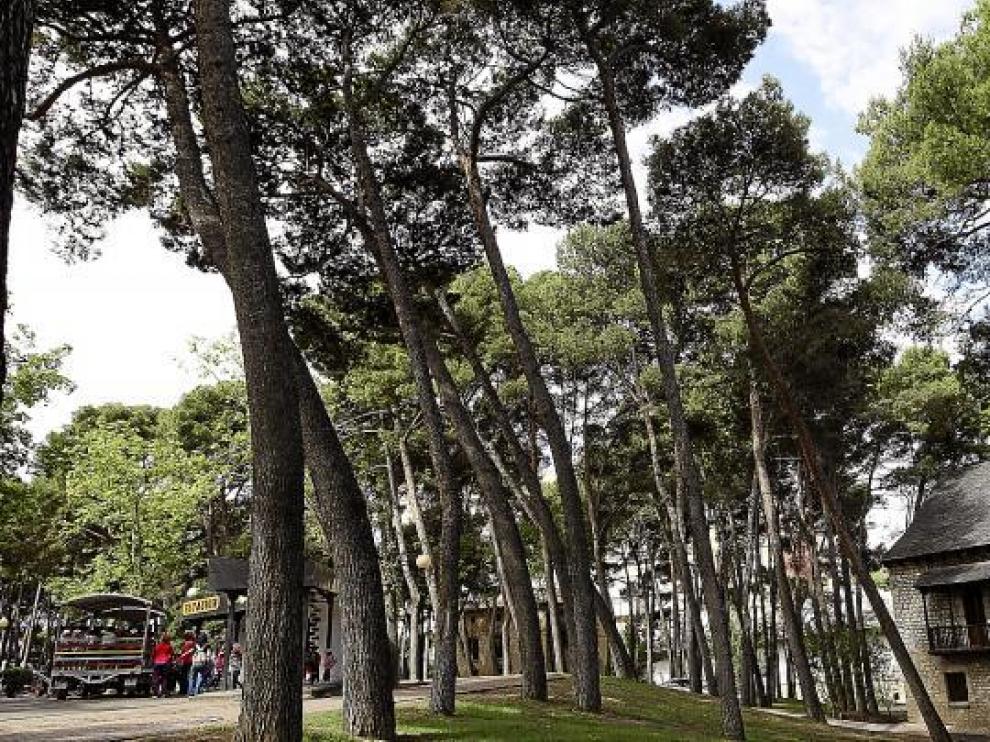 Aspecto actual de la Casa Ansotana, situada a orillas del Huerva, en el parque Grande, cerca de la estación del trenecito turístico.