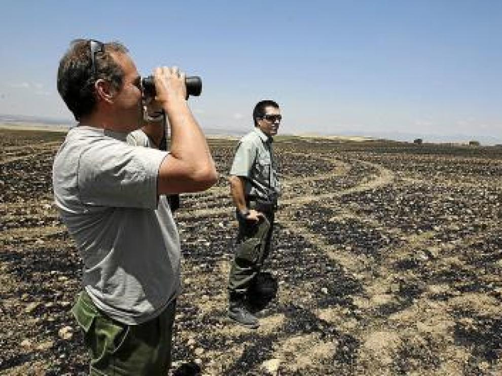 Dos agentes forestales vigilaban ayer la zona incendiada.