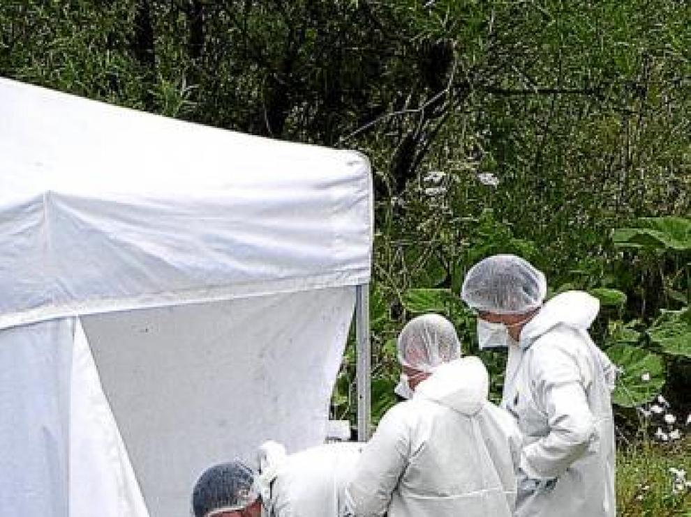 Investigadores forenses analizan el sitio donde murió Moat.