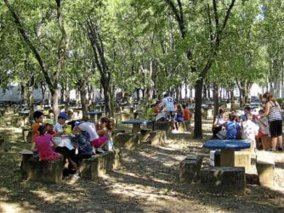 Merendero viejo. Es una zona agradable con mucha sombra, pero hay mesas y bancos de piedra rotos, y crece mucha maleza.