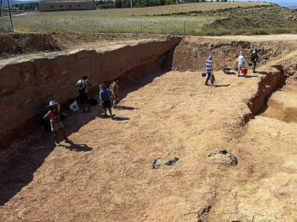 Excavaciones arqueológicas en el foso de la ciudad celtibérica.