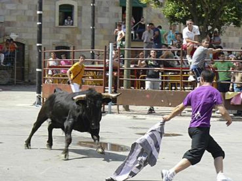 Los encierros fueron los protagonistas del fin de fiestas.