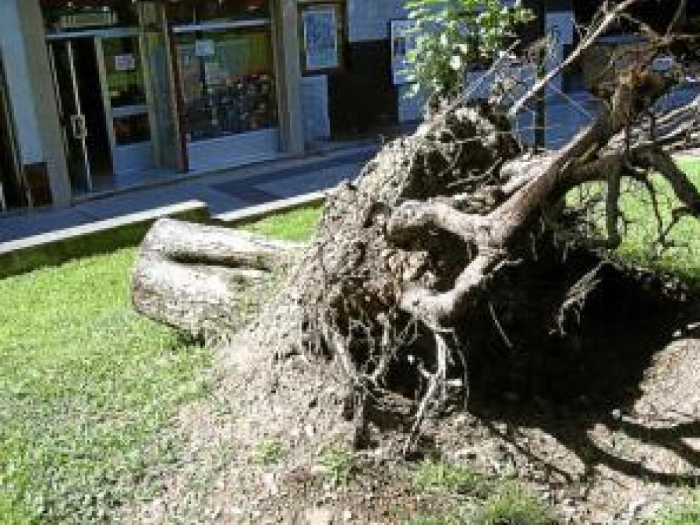 "Si el aire es fuerte, esto es aterrador"