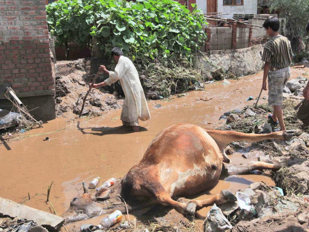 Agua estancada al norte de la India