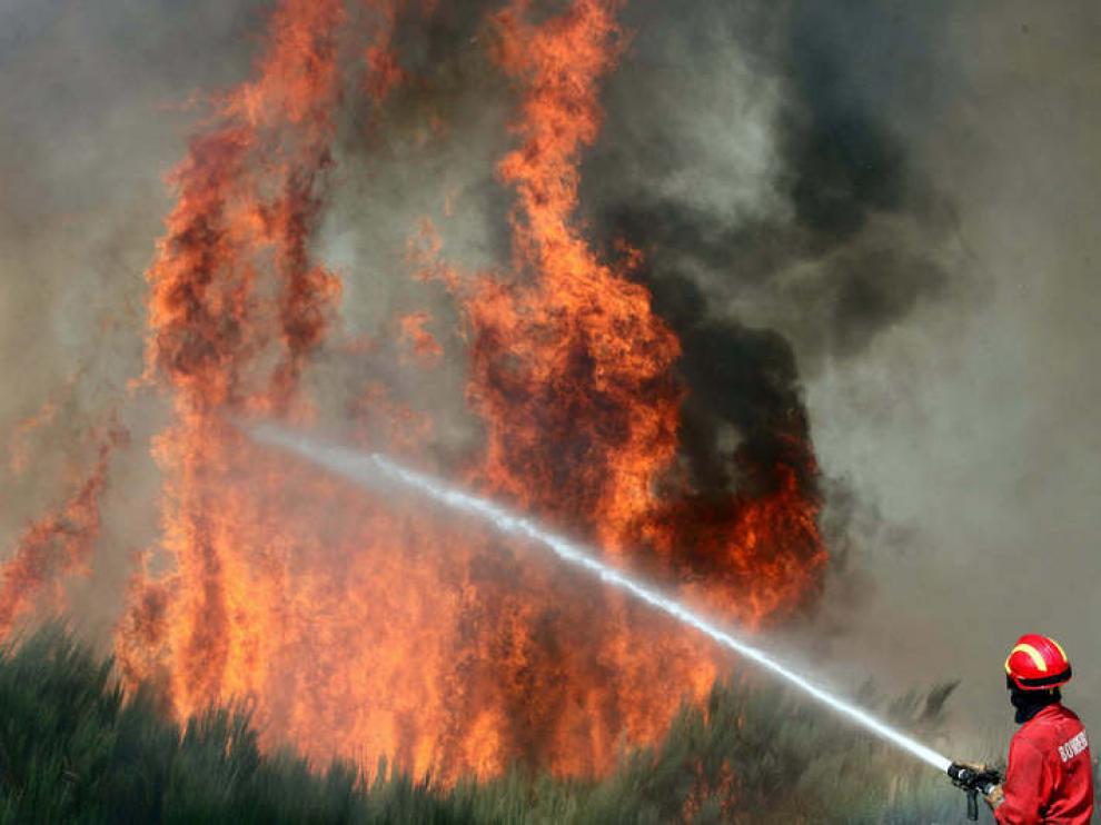 Un bombero lucha contra el fuego en un bosque del país vecino