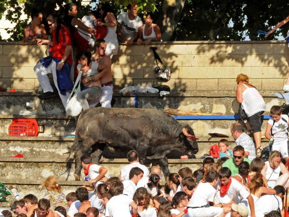 El toro causó pánico en la grada