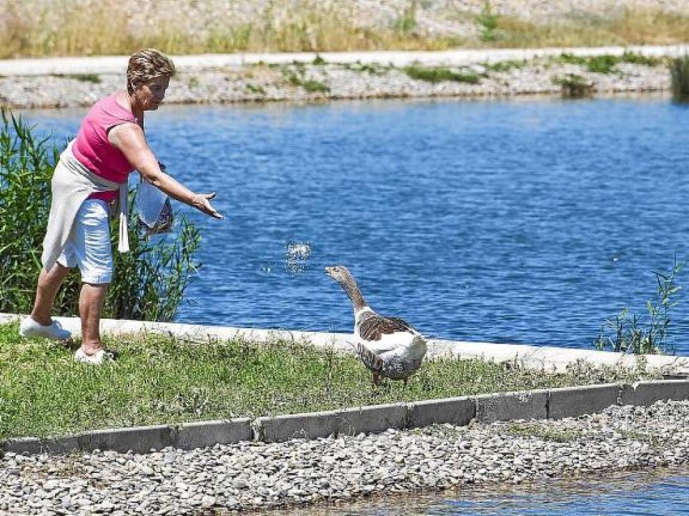 Una mujer da de comer a un palmípedo en los lagos junto al embarcadero, en el Parque del Agua.