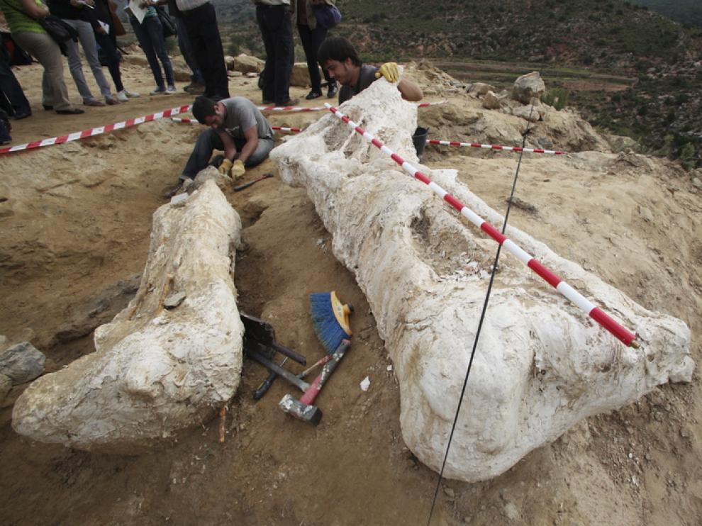 Aparece Un Segundo Gigante De Riodeva