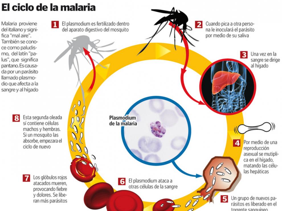 Pulse sobre el gráfico para ampliarlo