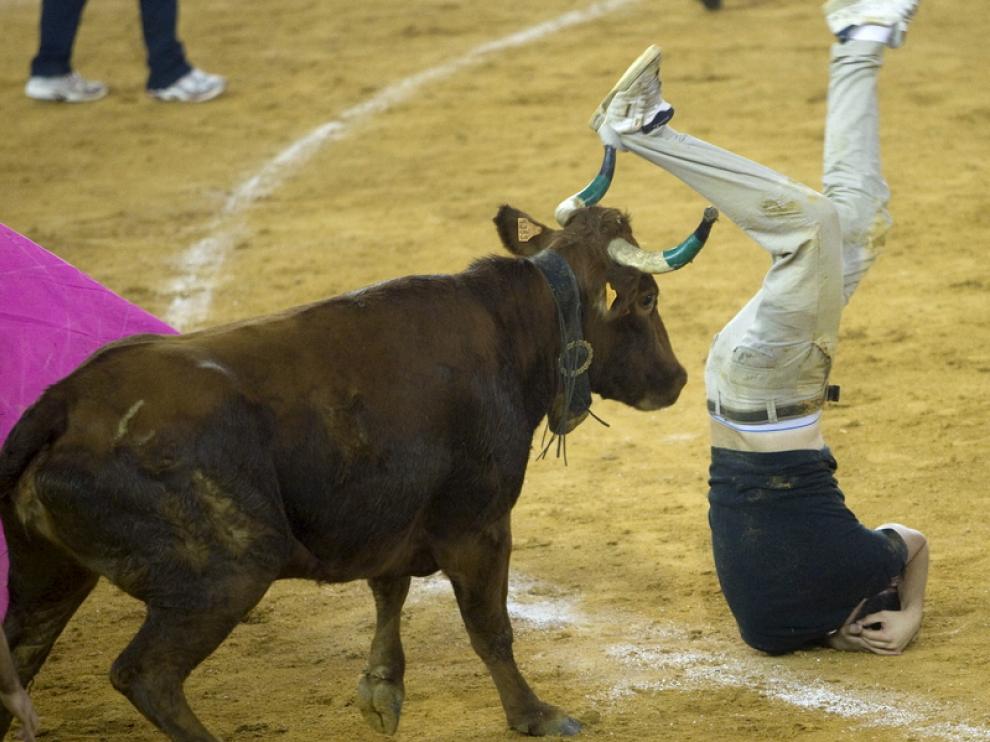 Pimera jornada de vaquillas