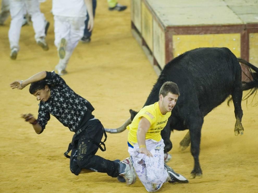 Una vaquilla golpea a dos mozos