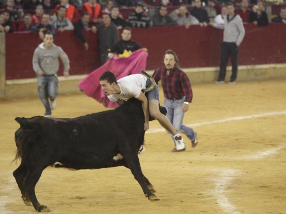 Un joven es pillado por la vaquilla.