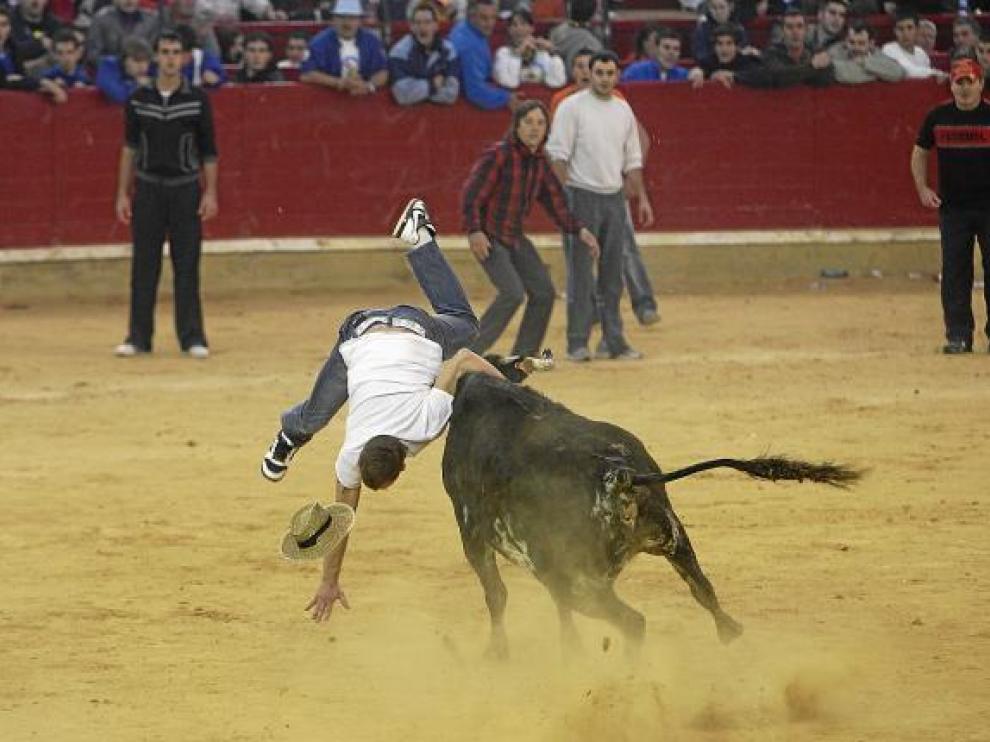 Las vacas de Ozcoz fueron a por todas en la última mañana de festejos populares.