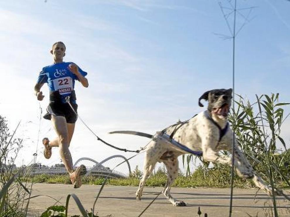 El riojano Javier Martínez y su perro Kiro, ayer en el circuito de Pinares de Venecia.