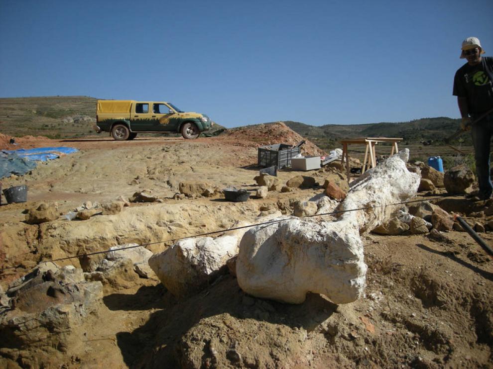 Hallazgo de un fémur de grandes dimensiones en el yacimiento de Barrihonda (Teruel)