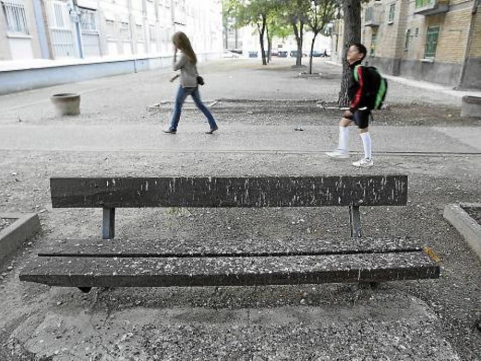 Un manto de excrementos cubre el suelo y los bancos del entorno.