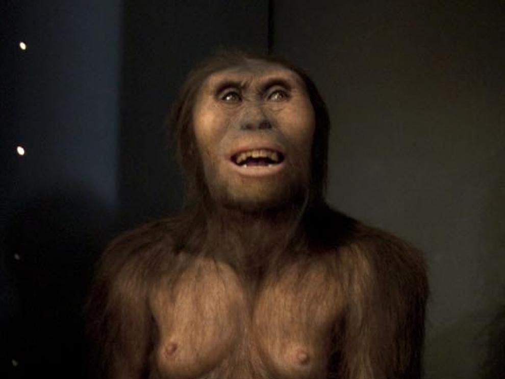 Reconstrucción artística de Lucy -Australopithecus afarensis- en el Museo de la Evolución de Burgos. Lucy parece poco más que un chimpancé erecto y ya alberga, sin embargo, la semilla de lo que será humano