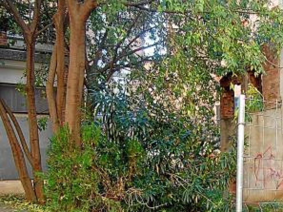 Este solar de la calle Virgen del Pilar está muy descuidado.