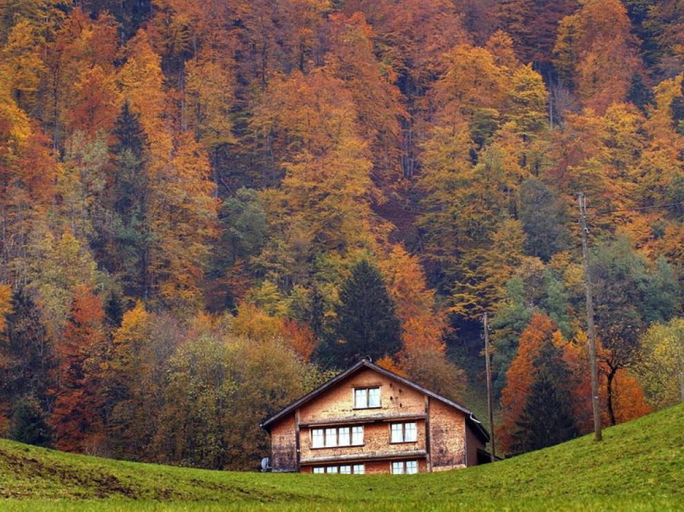 Rural