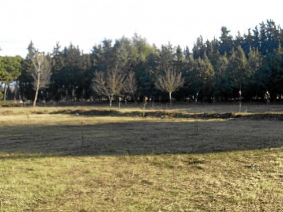 Los huertos sociales se ubicarán en una parcela municipal de la zona de los Sotos.