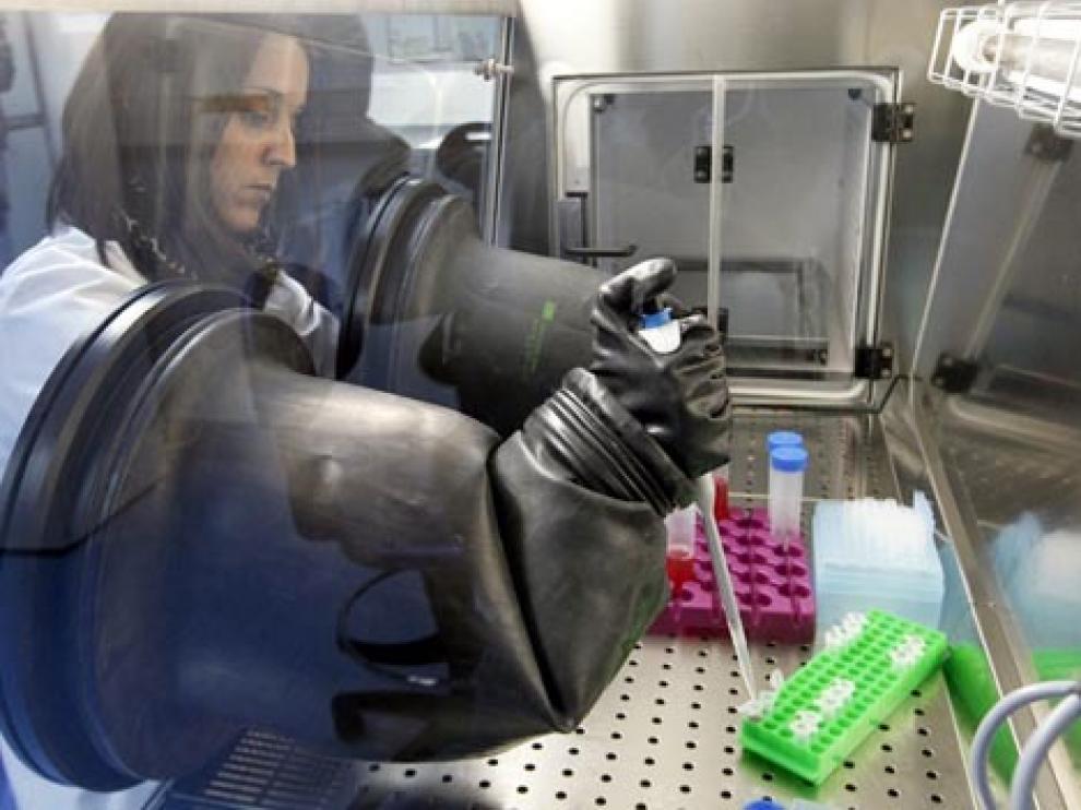 Laboratorio para obtener células madre
