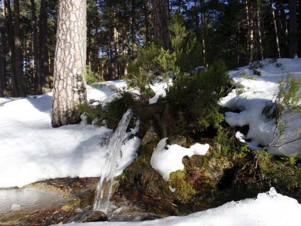 Nieve en la sierra de Urbión