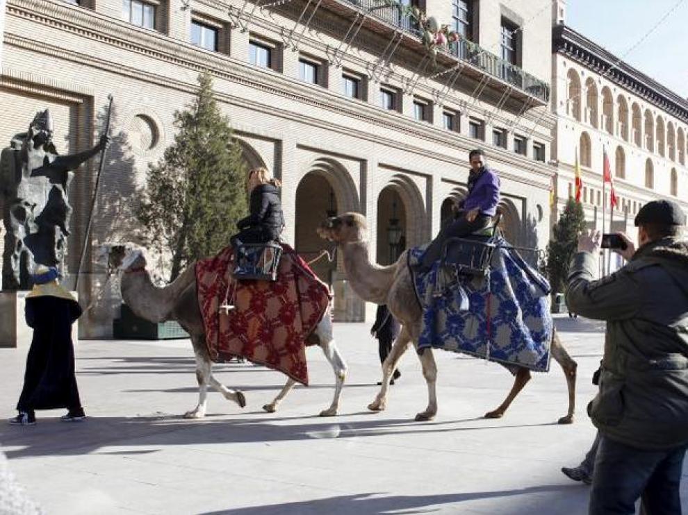 Los dromedarios componen una estampa sorprendente en la plaza del Pilar.