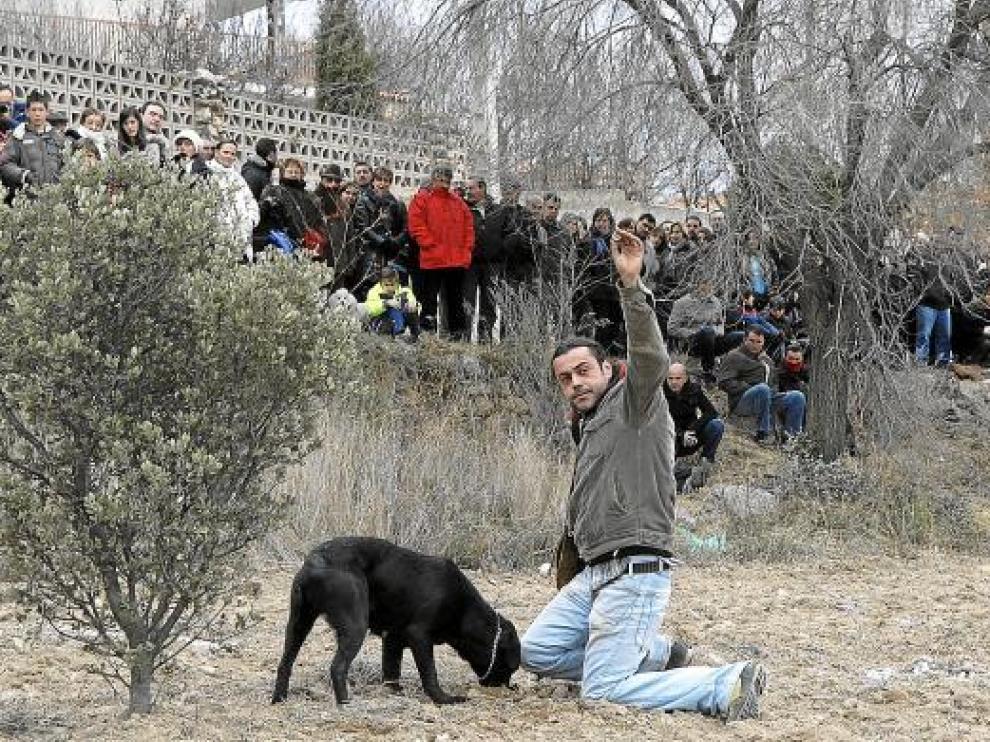 El concurso de búsqueda de trufas con perros despertó expectación entre el público asistente a la feria.