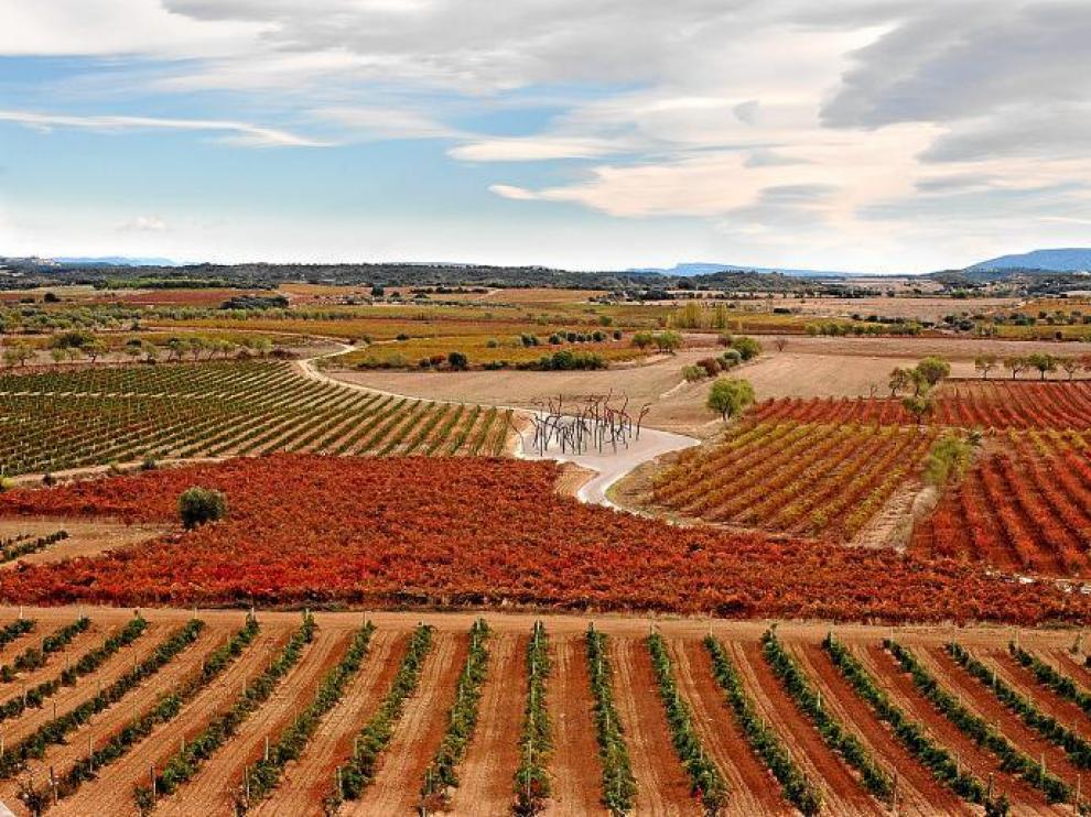 Viñedos de la bodega Enate en Salas Bajas rodean la escultura El Bosque de Hierro.