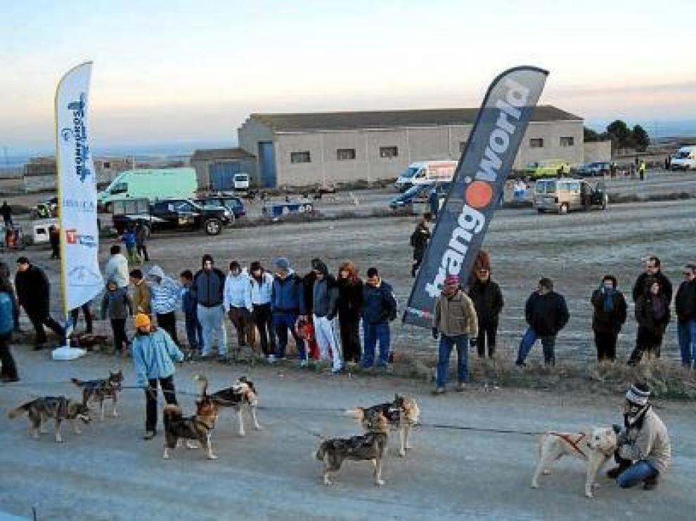 Los perros se cuidan con especial mimo ddurante toda la prueba.