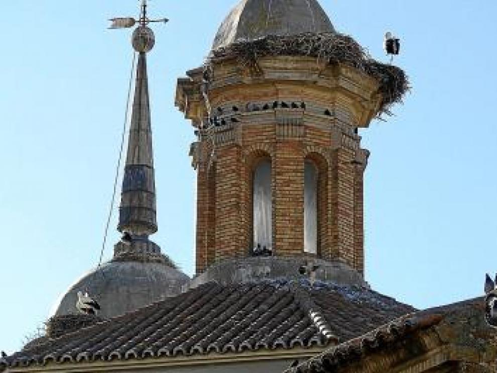 Las aves han invadido la torre y la cubierta del templo.