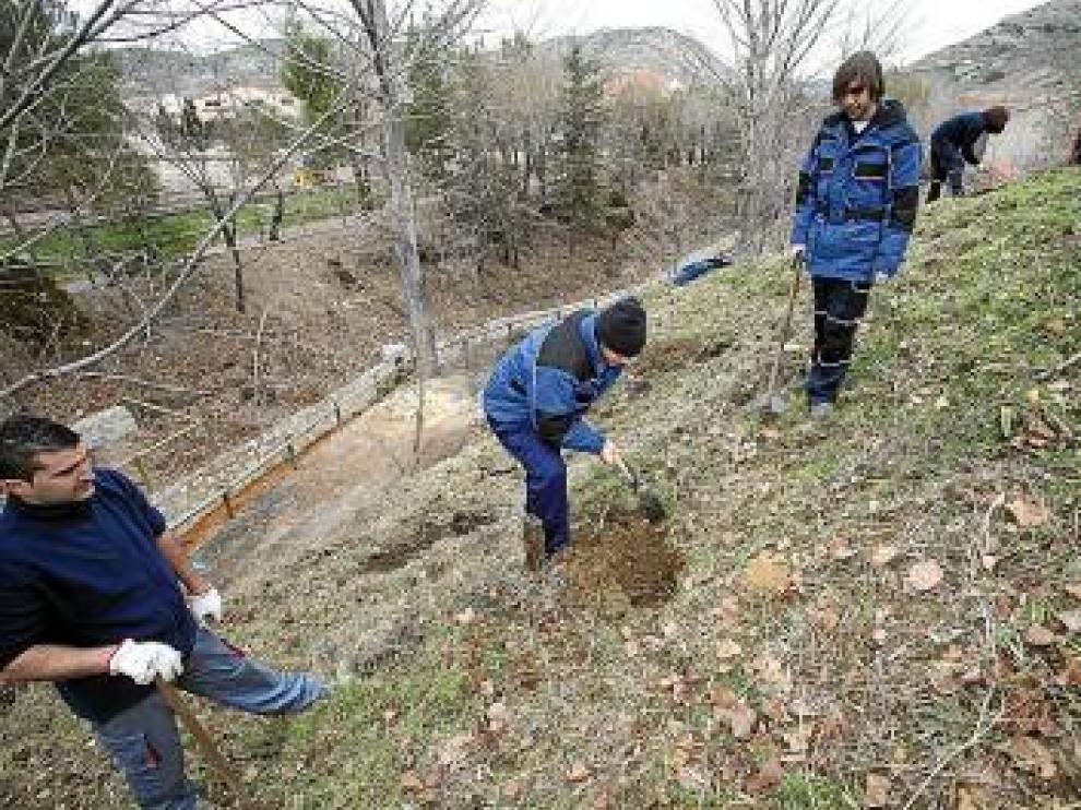 Los jóvenes trabajan en una ladera de Utrillas.