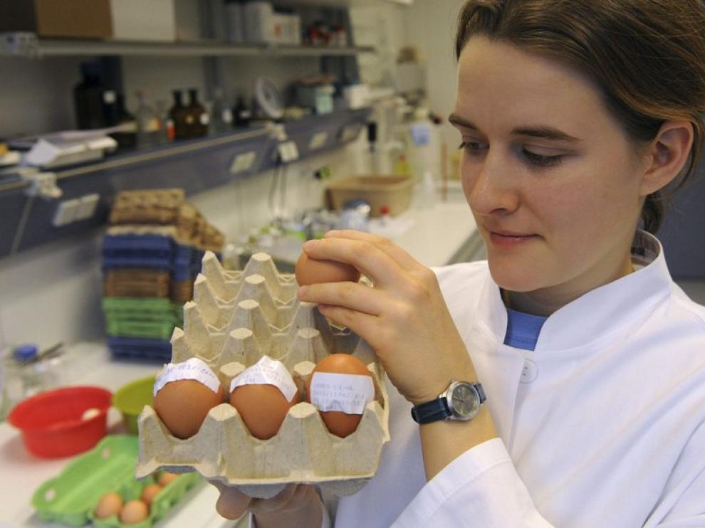 Estudio de los huevos contaminados por dioxina.