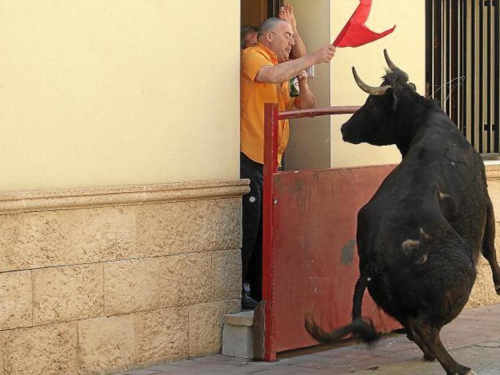 Encierro de Vaquillas en Pinseque