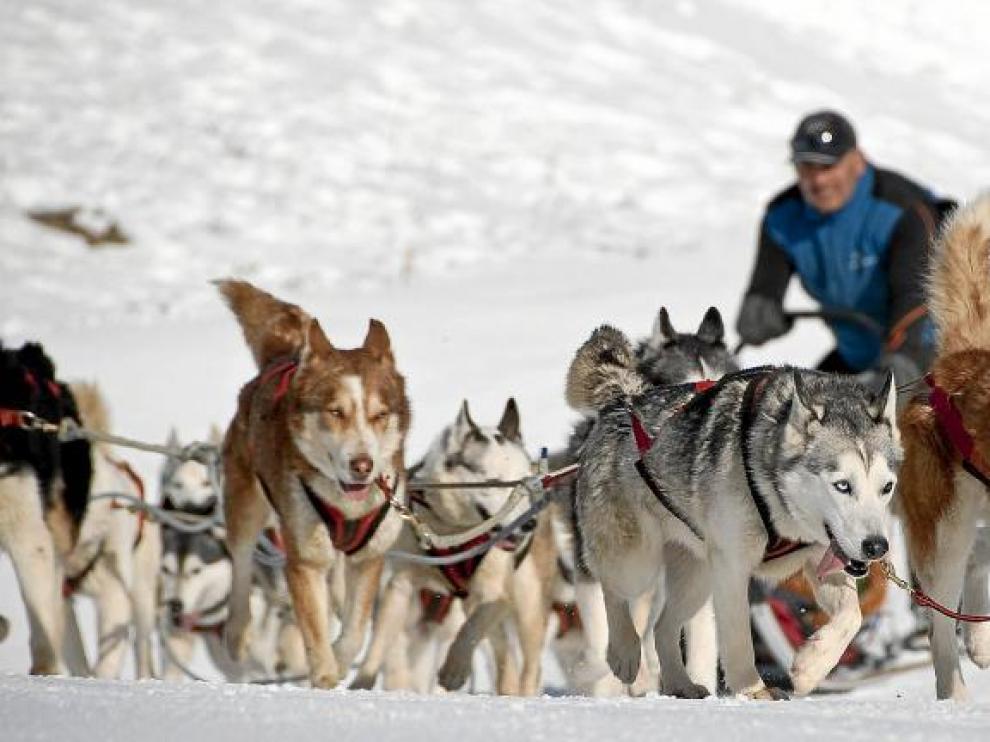 Imagen de un trineo tirado por perros huskys en la estación invernal de Cerler.